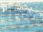 Natación (Braza)