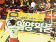 Voleibol (I)